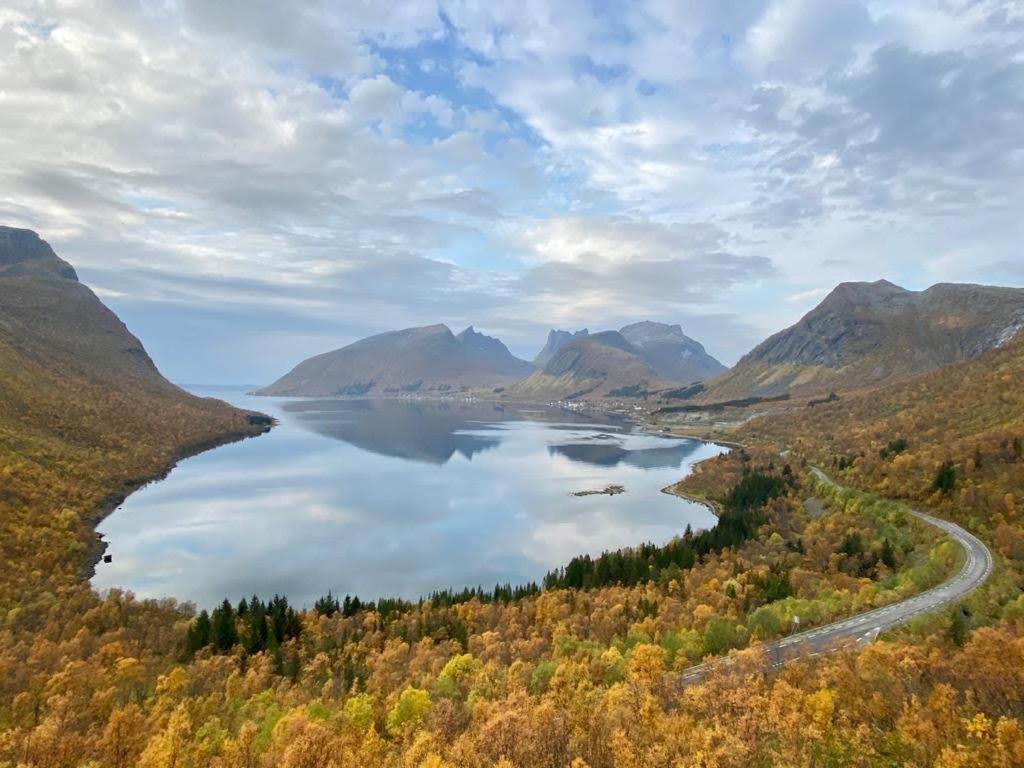 Ferrytale, Cozy, Spacious House On Senja Gryllefjord Bagian luar foto