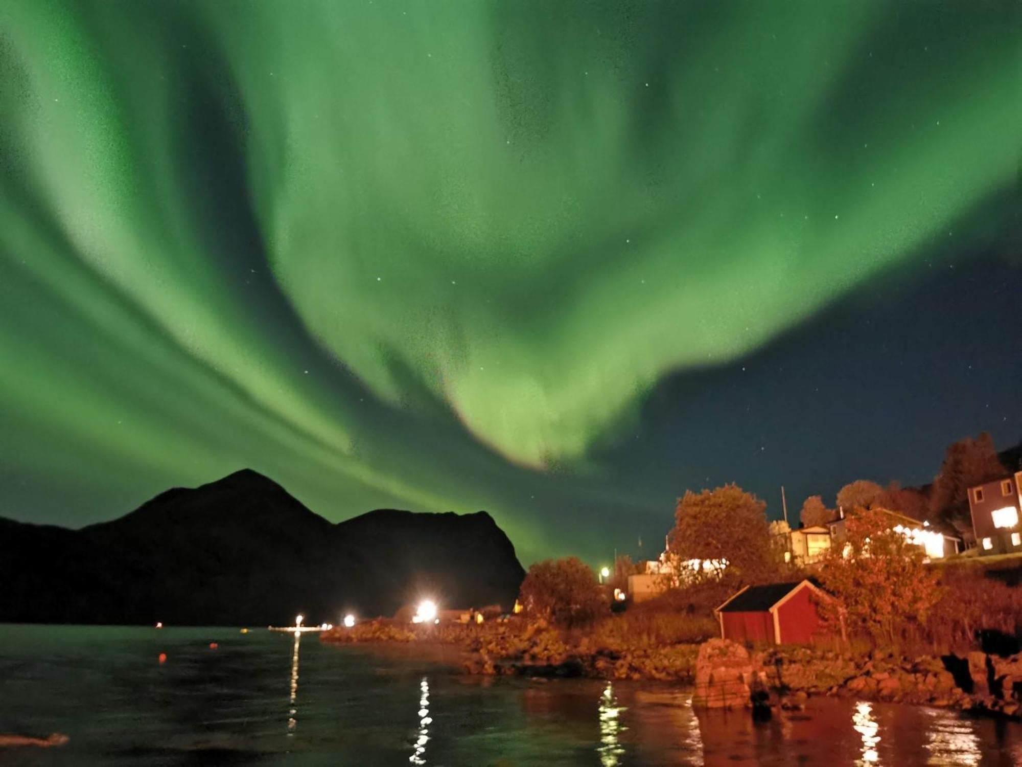 Ferrytale, Cozy, Spacious House On Senja Gryllefjord Bagian luar foto