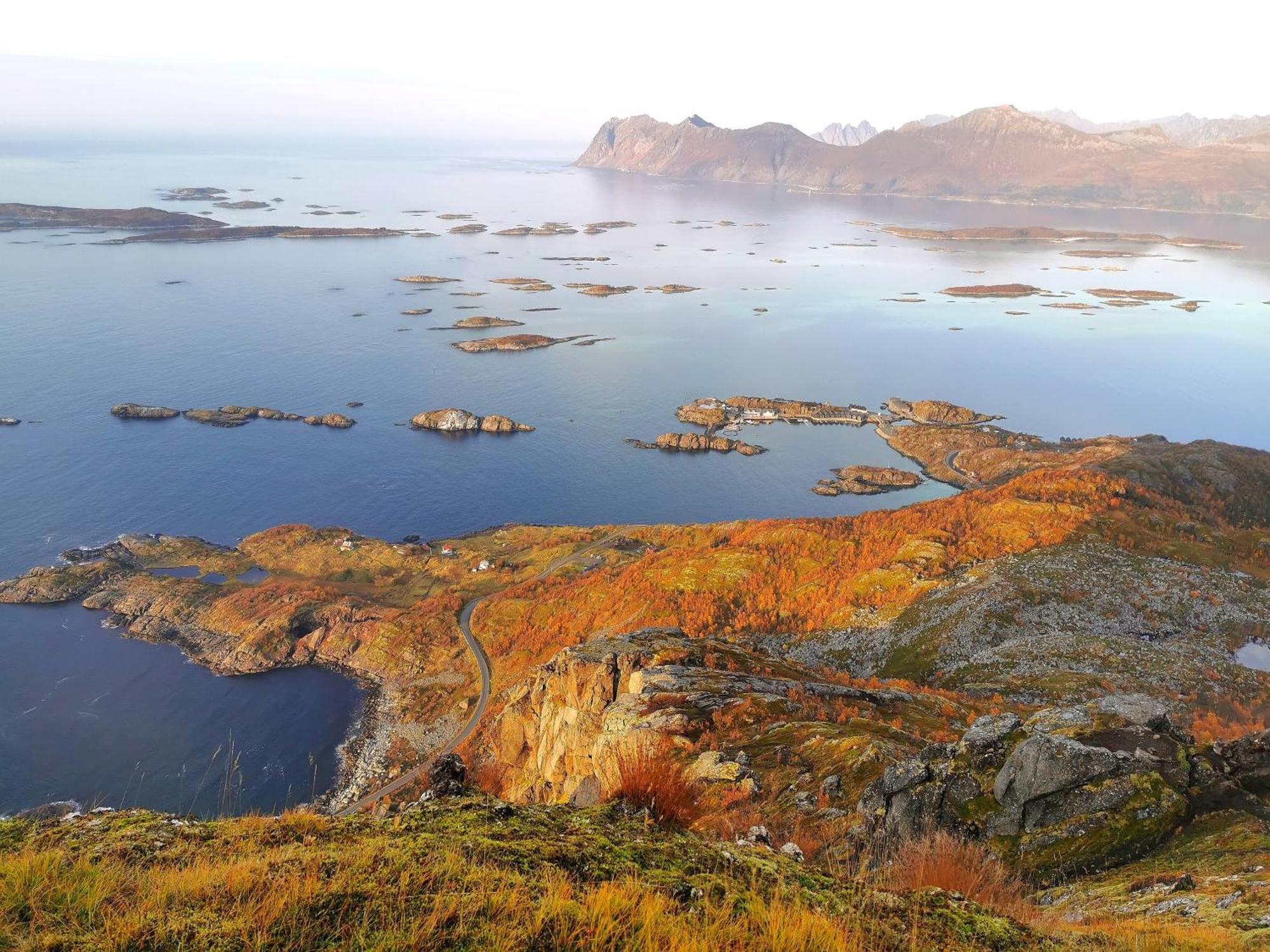 Ferrytale, Cozy, Spacious House On Senja Gryllefjord Bagian luar foto