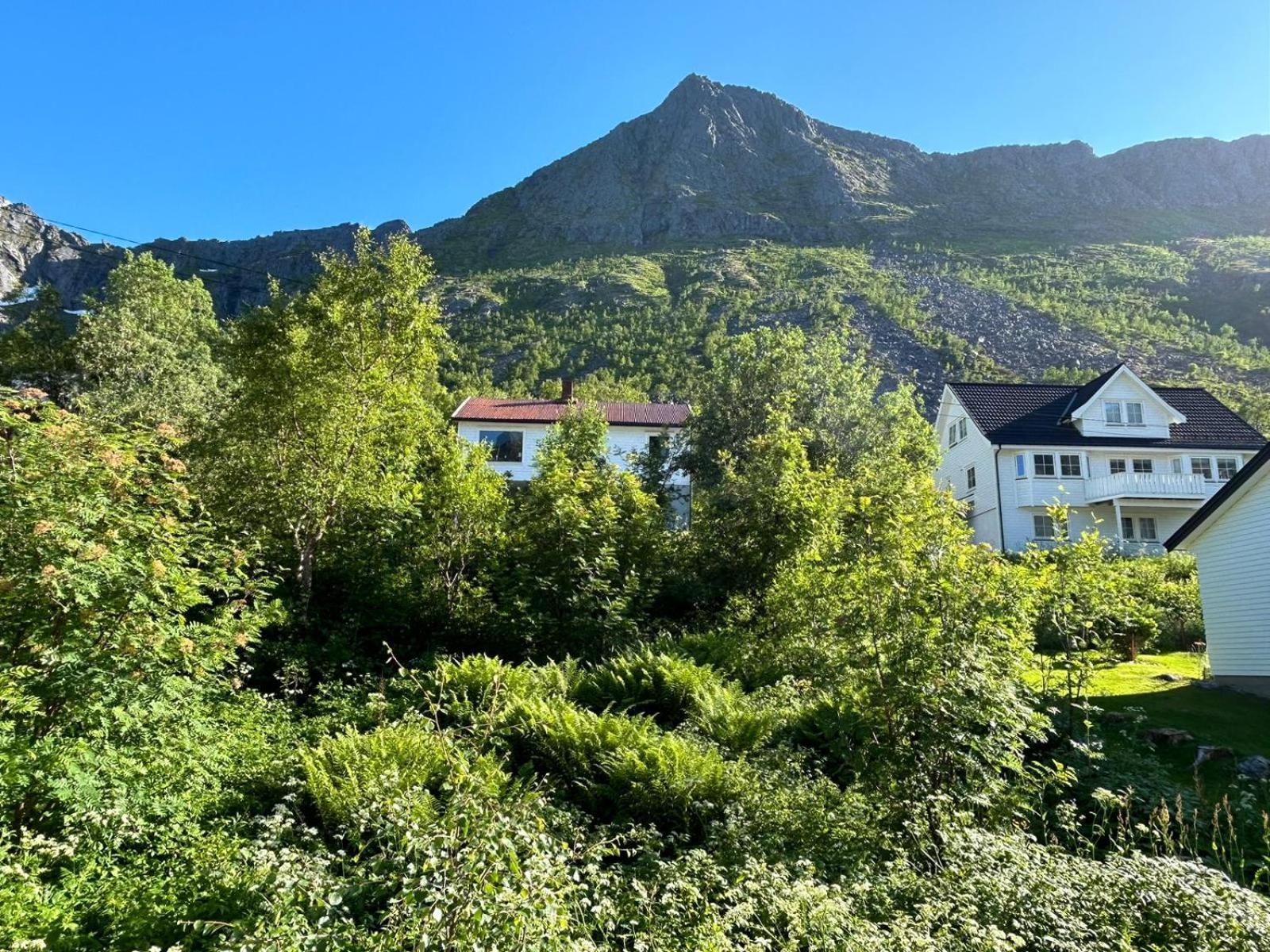 Ferrytale, Cozy, Spacious House On Senja Gryllefjord Bagian luar foto